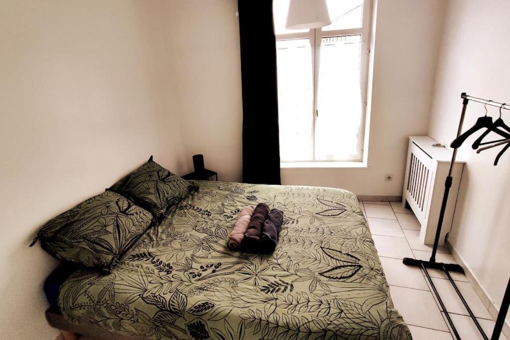 Logement Entier Proche Tribunaux Douai Dış mekan fotoğraf
